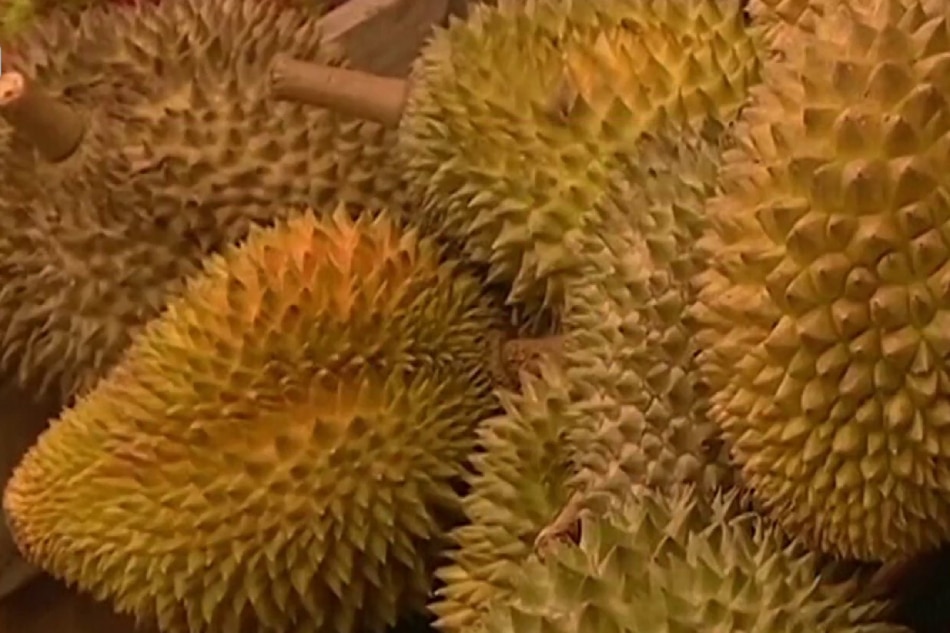 Produksiyon ng durian sa Pilipinas palalawakin pa