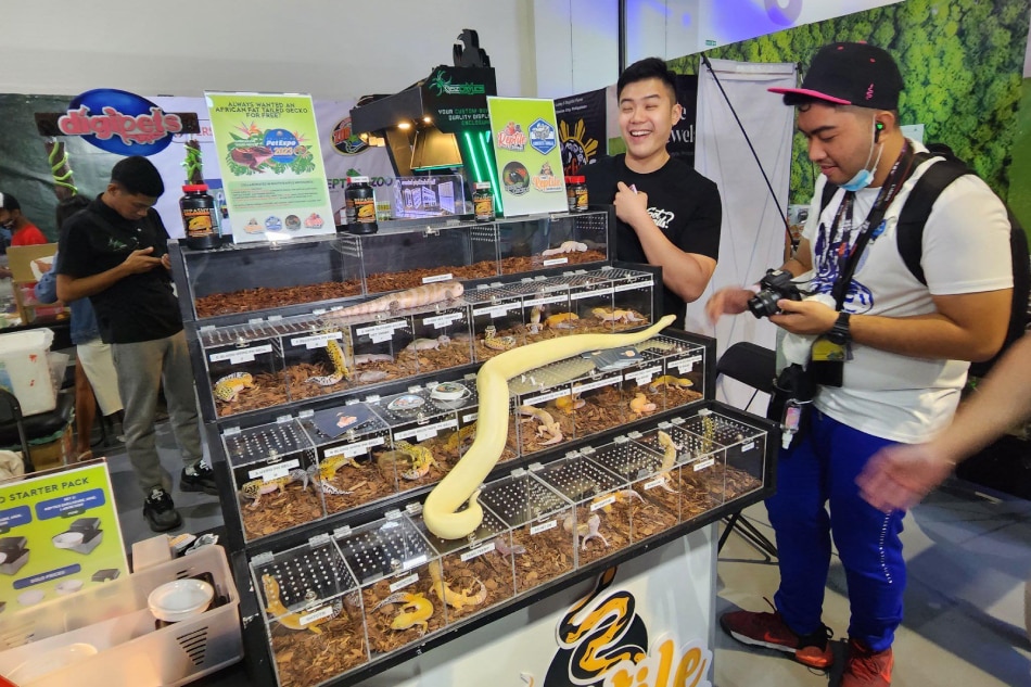 Philippine Pet Expo 2023 opens in Pasay City. Jekki Pascual, ABS-CBN News