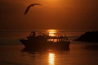 Global talks renew on seabed mining with pressure 'to deliver'