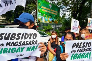 Pagbaba ng presyo ng pagkain hiling sa protesta sa DA