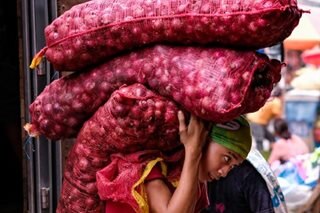 Solons mull creation of onion research body