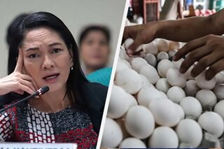 Hontiveros warns vs looming egg shortage