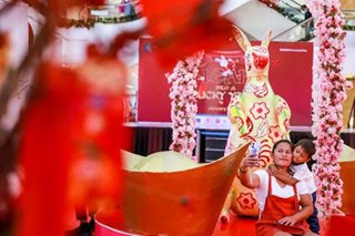 Ready to welcome Year of the Rabbit