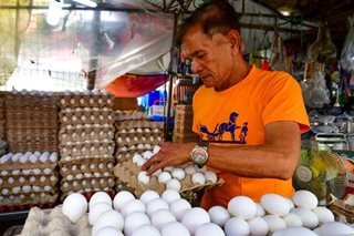 Marcos seeks explanation for high egg prices