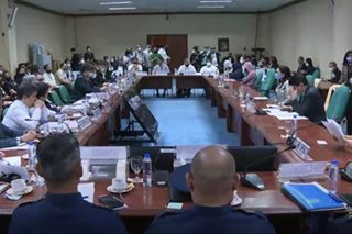 Senate kicks off investigation into 'Chinese mafia' trafficking scheme