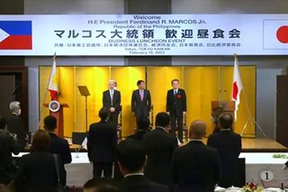 Japanese firms pledge to invest in PH energy projects