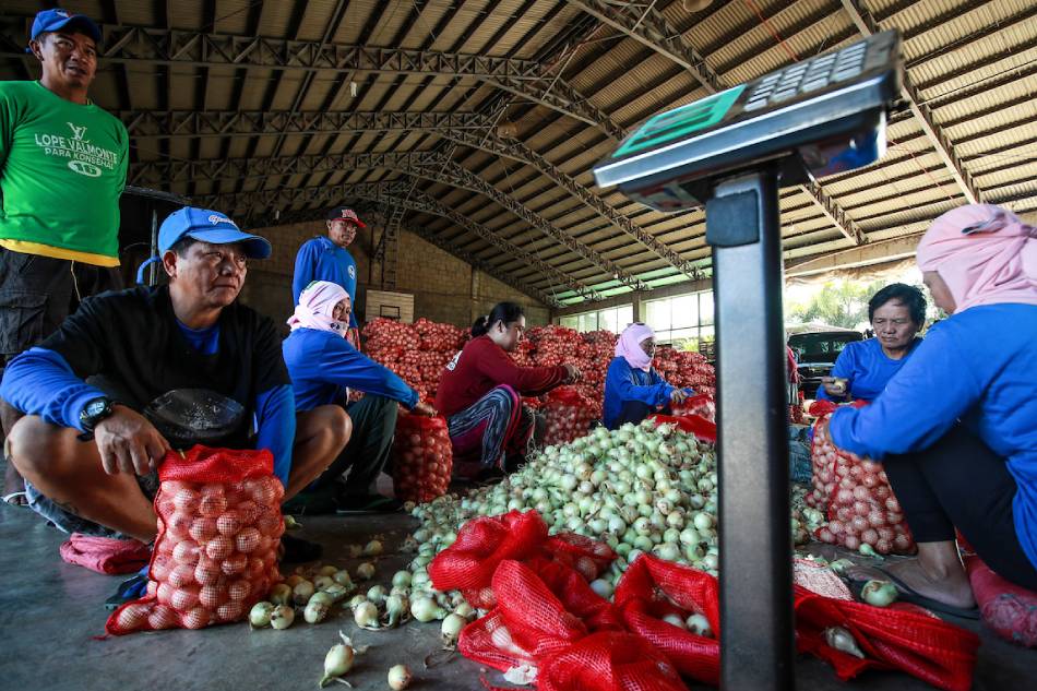 Workers prepare onions for selling at a trading post in Bongabon, Nueva Ecija on February 2, 2023 as the harvest season begins in 