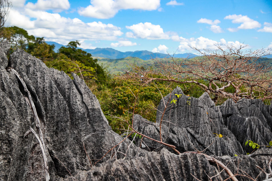 Photo shows limestone formations at Masungi Georeserve located at the southern portion of the Sierra Madre mountain range in Baras, Rizal taken on Feb. 24, 2023. Jonathan Cellona, ABS-CBN News