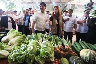Marcos eyes urban farming to address high food prices