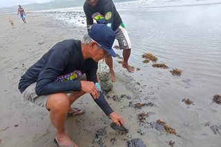 Over 24,000 hectares of coral reef at risk in Oriental Mindoro oil spill: marine experts