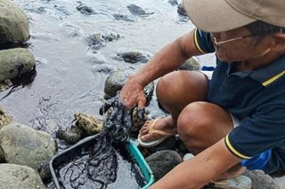 PCG formally requests US to help clean up Mindoro oil spill: Abu