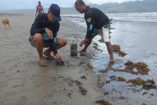 61 tourist sites apektado ng oil spill sa Mindoro