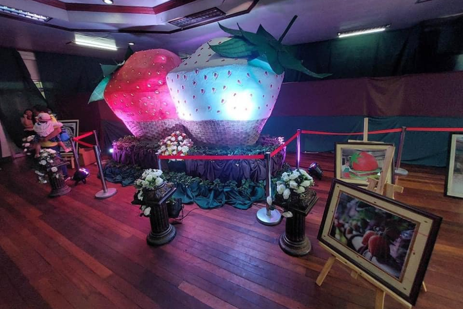 Giant Strawberry Cake, ibinida sa La Trinidad, Benguet 1