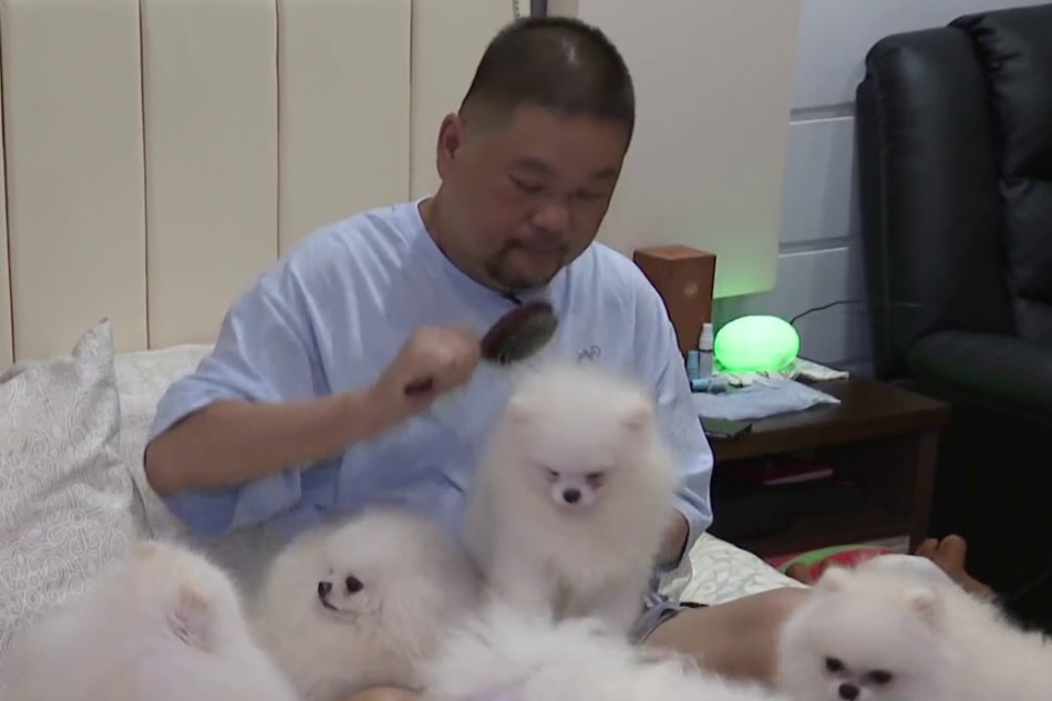 KBYN: 30 Pomeranians, alaga ng dog lover mula Biñan