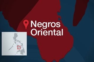 Negros Oriental sounds alarm on rising typhoid cases