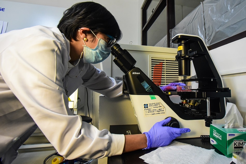  Dr. Pia Bagamasbad conducts a lab work at the National Institute of Molecular Biology Building at the University of the Philippines in Diliman, Quezon City in this photo taken on March 8, 2023. Maria Tan, ABS-CBN News
