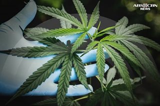 Great-granny's cannabis butter cooks up high school trouble