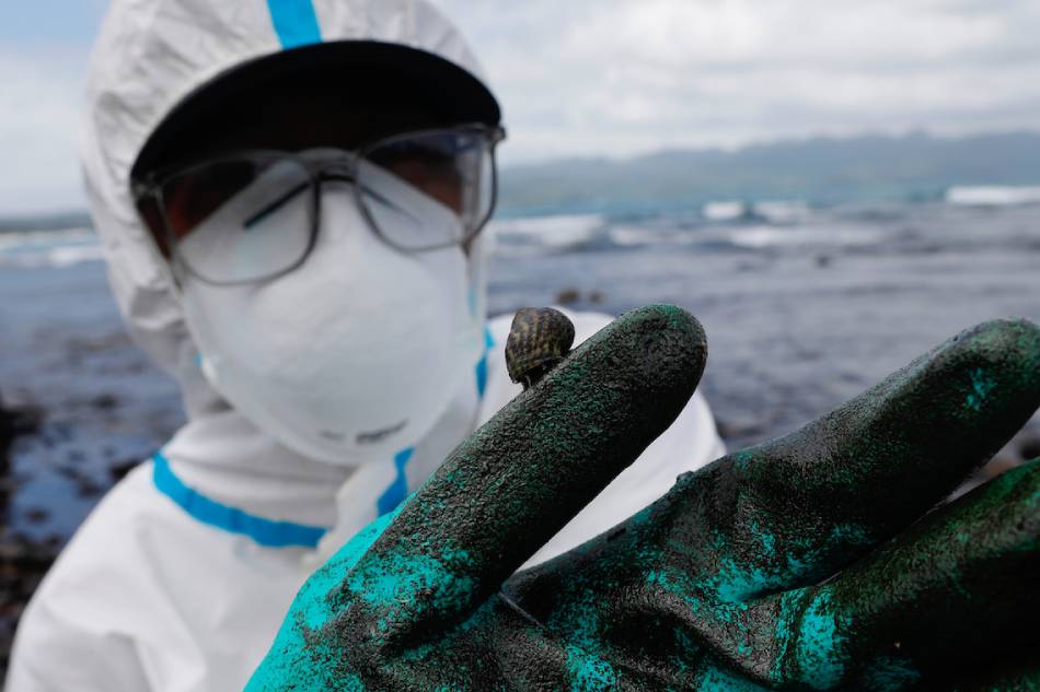 A snail crawls on the glove of an environmental advocate during a coastal clean up drive in the town of Pola, Oriental Mindoro on March 7, 2023. Francis R. Malasig, EPA-EFE