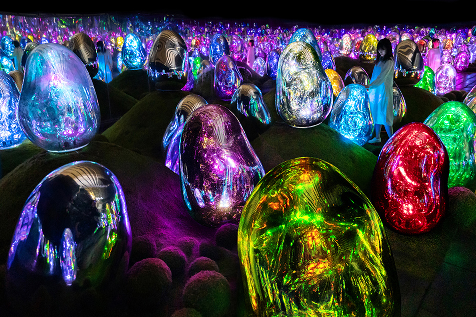 teamLab, Moss Garden of Resonating Microcosms - Solidified Light Color, Sunrise and Sunset © teamLab