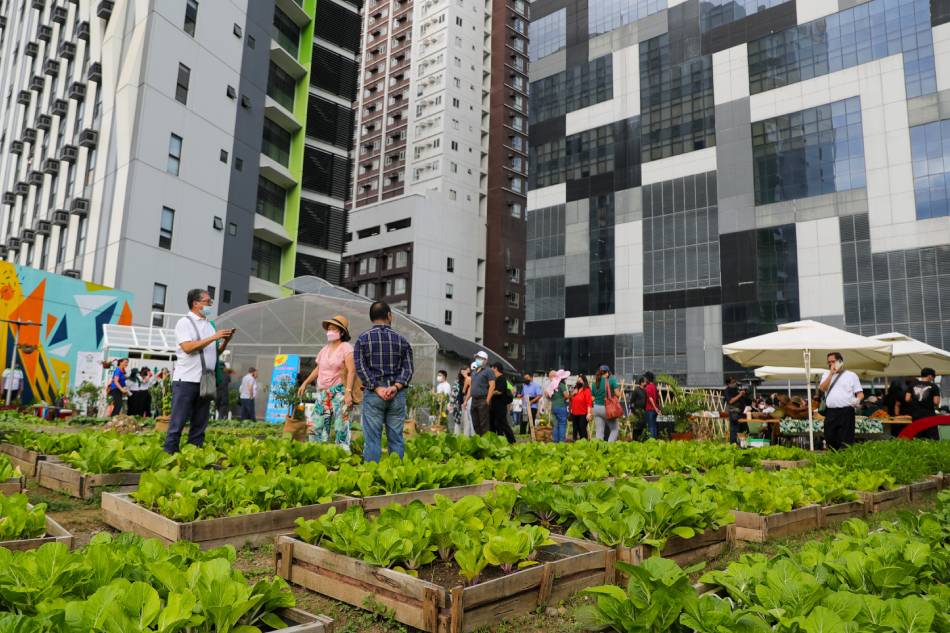 Members of the media look at the BGC Urban Farm in Taguig on March 24, 2022 set up by in conjunction with the local government and advocacy groups to promote urban farming. Jonathan Cellona, ABS-CBN News