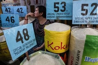 Agri group says lower import tariffs won't guarantee rice supply