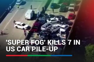 'Super fog' kills 7 in massive US car pile-up