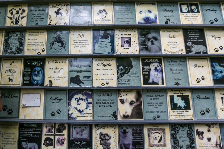 A memorial wall for pets at the Philippine Animal Welfare Society (PAWS) in Katipunan Valley in Quezon City on October 26, 2023. Jonathan Cellona, ABS-CBN News
