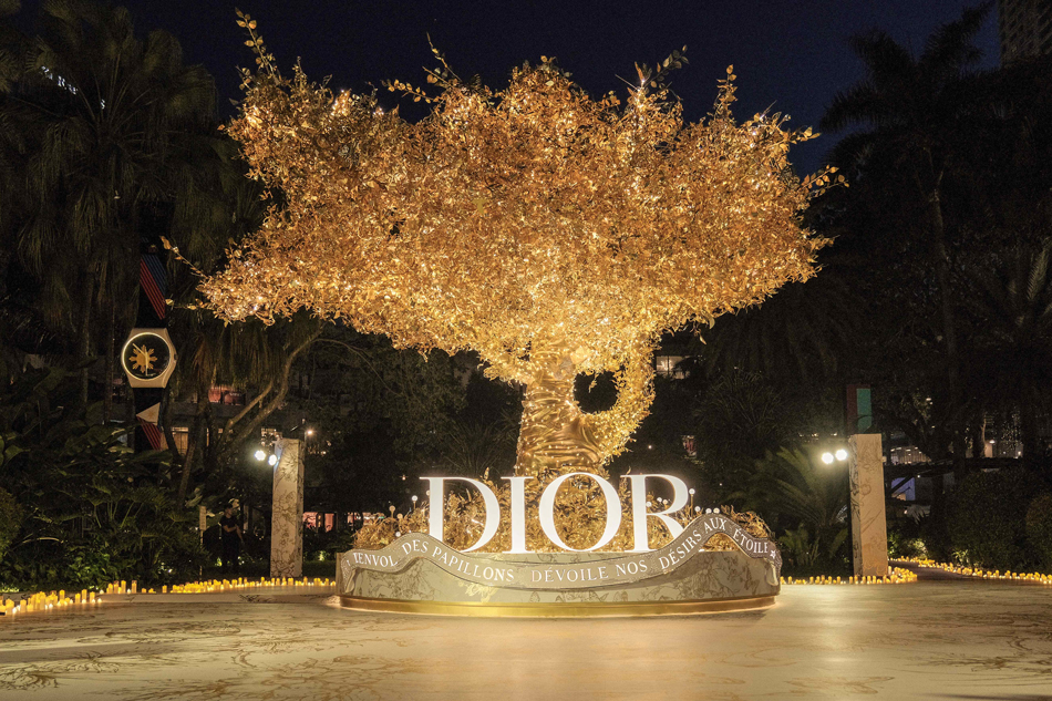  The Dior tree. Handout