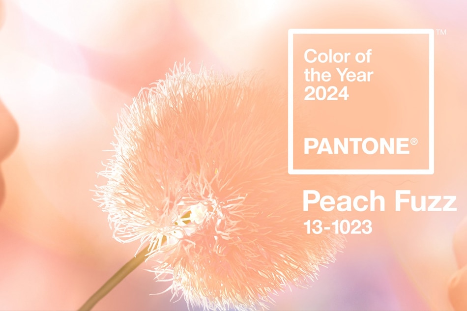 Peach Fuzz is 2024 Pantone Color of the Year ABSCBN News