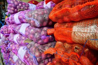 Mga magsisibuyas nababahala sa kita dahil sa imported onions
