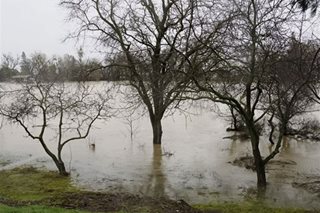 'Disastrous' flood warning in California as another storm hits