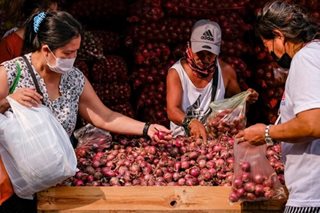 Senators, farmers blame DA 'poor planning' for onion crisis
