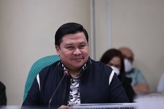 Jinggoy seeks more protection for employers vs 'criminal-minded' maids