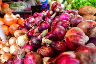 DILG orders probe on reported harassment of onion farmer