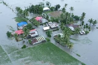 Naujan, Oriental Mindoro, isinailalim sa state of calamity