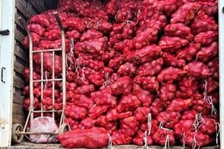 44,000 kilos of allegedly smuggled onions intercepted in Zamboanga City