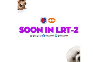 Pets allowed on LRT-2 trains from Feb. 1: official