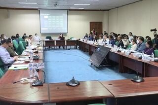 Senate grills economic managers about Maharlika investment fund