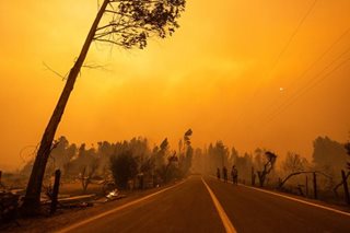 Southern Chile hit with wildfires