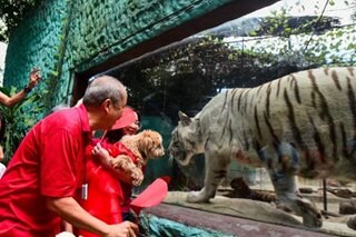 Malabon Zoo celebrates pets for Valentine's