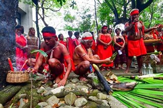 IP group receives disturbance fees for Kaliwa Dam Proj.