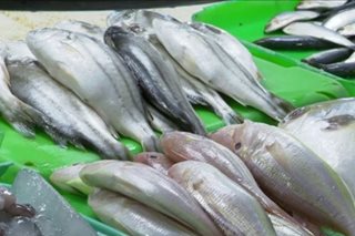 Presyo ng isda bahagyang tumaas sa ilang pamilihan