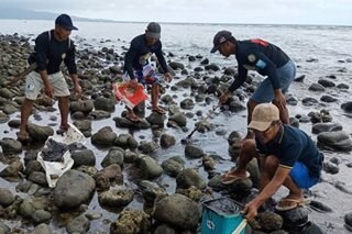 Residents in oil spill-affected areas show signs of illness: DOH