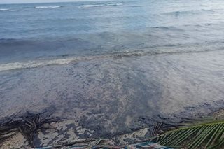 Experts warn of oil spill's impact on coral reefs, mangroves