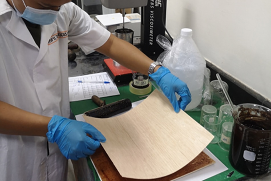 Plywood production using tannin-phenol formaldehyde adhesive. Photo from DOST's website.