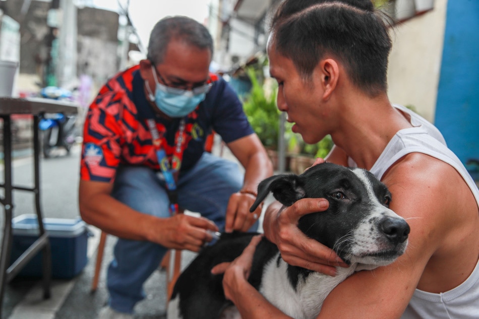 Getting Vaxxed On Rabies Awareness Month Abs Cbn News