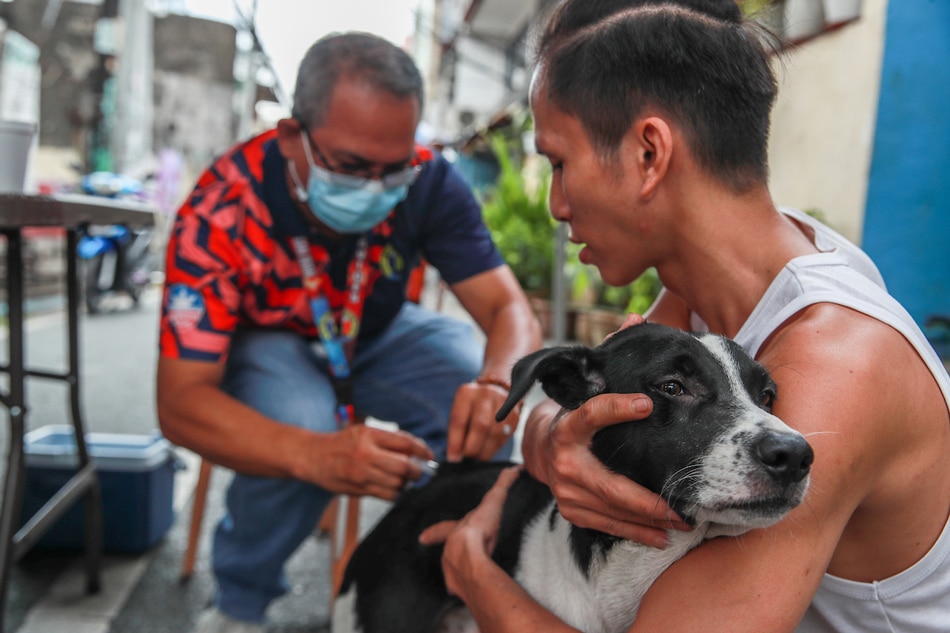 A man holds his dog during an anti-rabies drive by the San Juan City Veterinary Office for the Rabies Awareness Month on March 8, 2023. Jonathan Cellona, ABS-CBN News