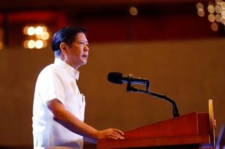 Marcos Jr. tells Filipino scientists: Broaden field of expertise
