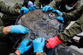 Japanese experts arrive to help in oil spill cleanup