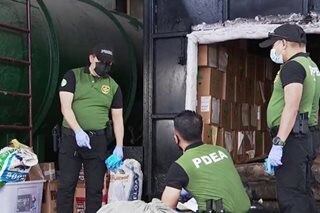 PDEA destroys nearly P20-B worth of illegal drugs